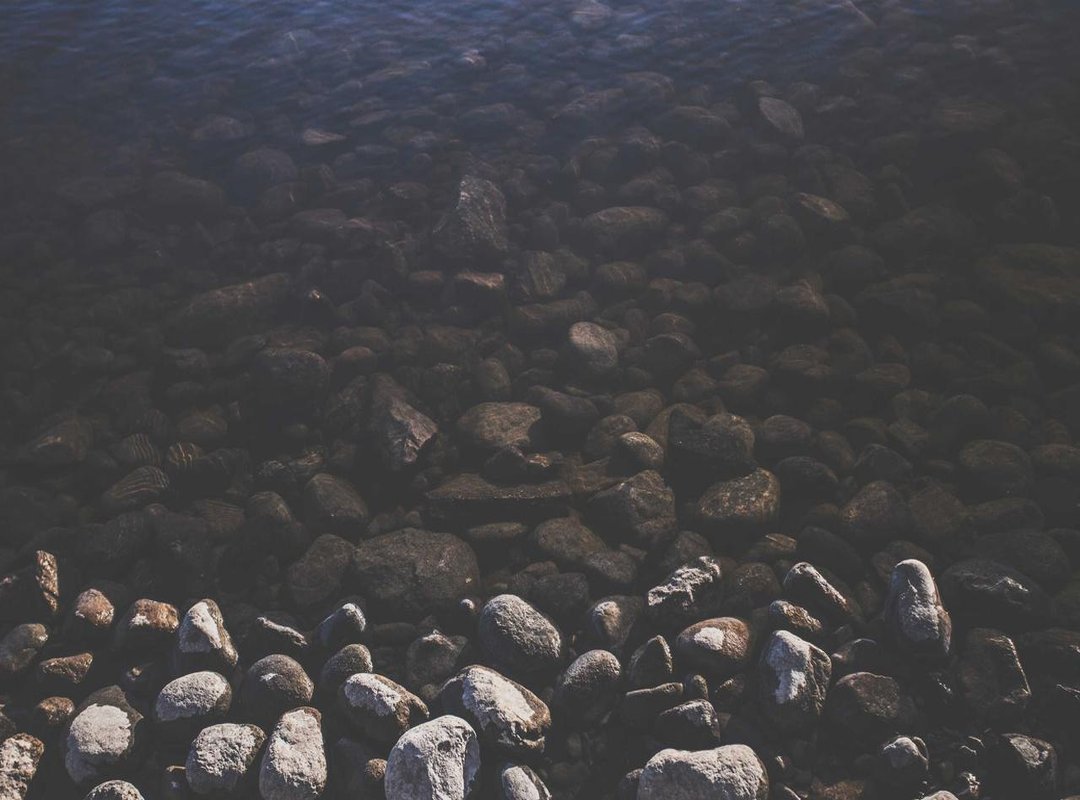 Modern Examples: Keeping the 'Ari Kytsya Naakt' Spirit Alive