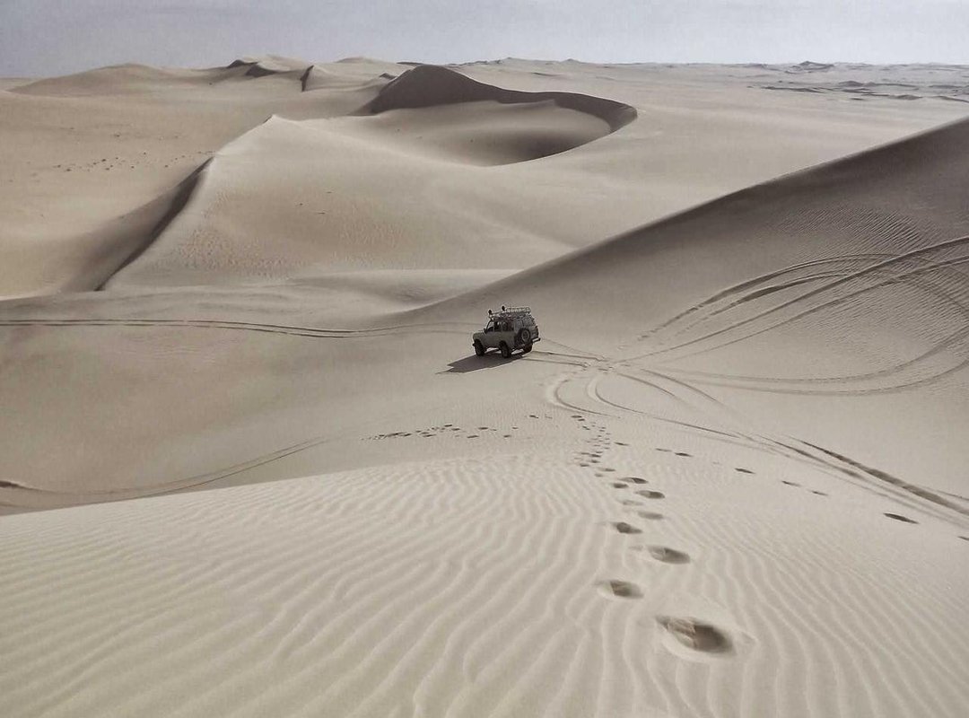 The Downsides: Honest Criticisms and Problems on Reddit