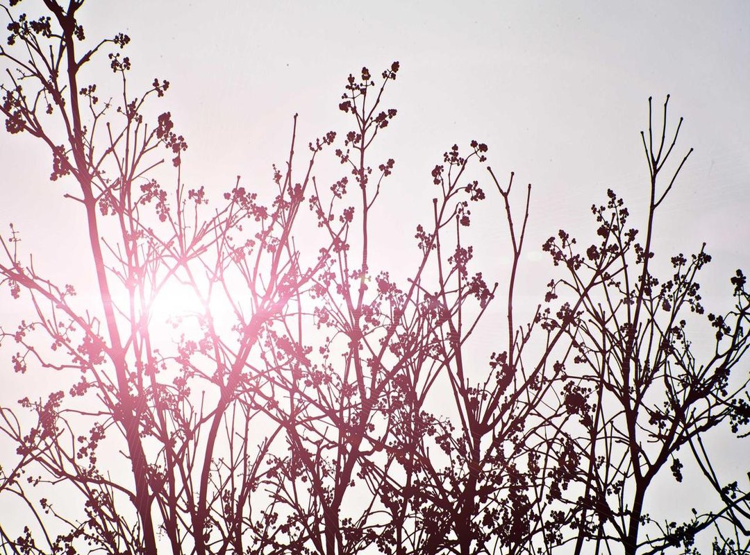 The Complete Ensemble: Every Actor and Their Role