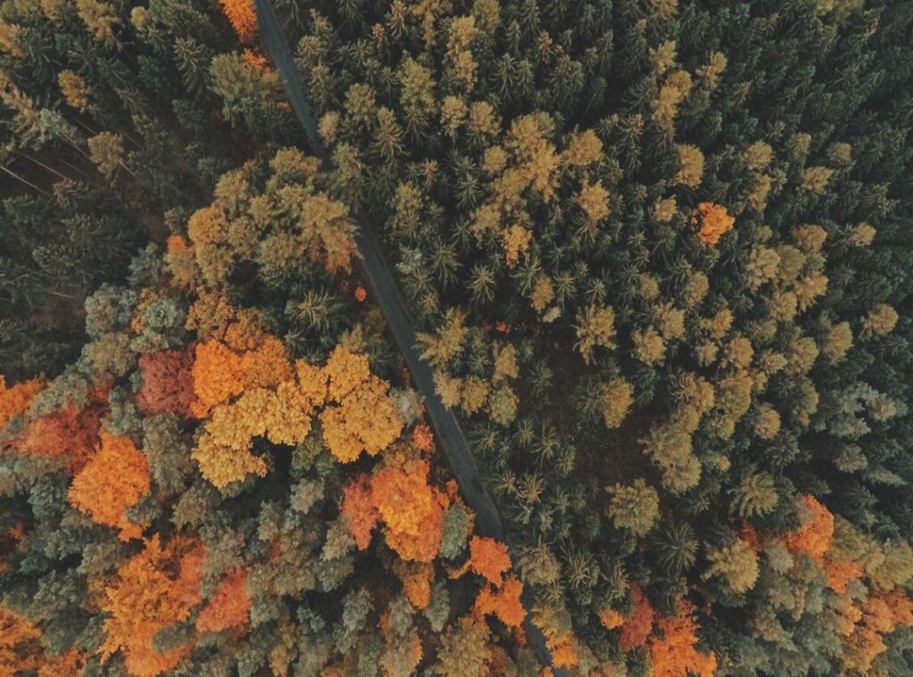 https //kahoot.it login