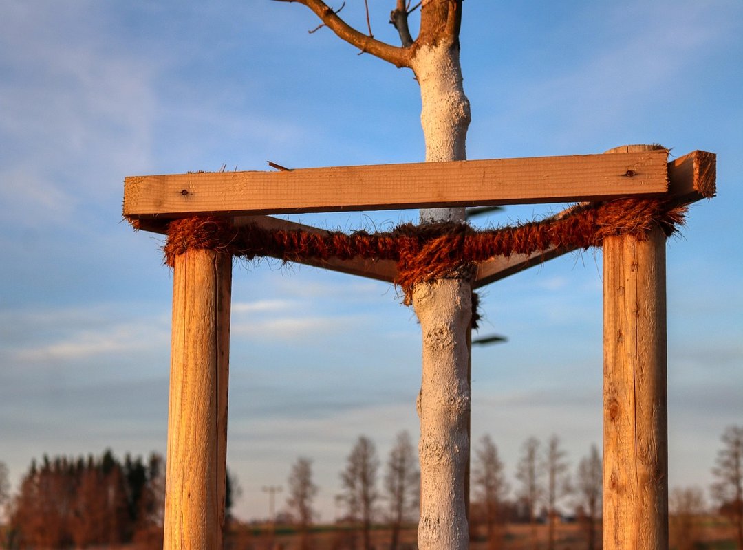 How to Support Creators Ethically and Protect Yourself Online